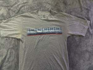 Speedo Men's Vintage Grey Palm Tree Graphic T-Shirt